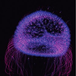 biological form computerized