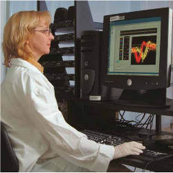 brain-computer interface researcher Dawn Taylor