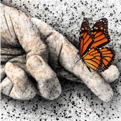 Trustworthiness and Truthfulness Are Essential, illustration
